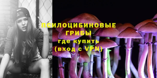 бошки Бородино