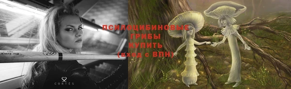 бошки Бородино