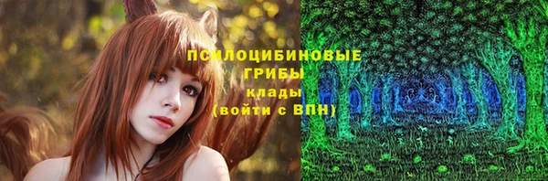 гидра Семикаракорск