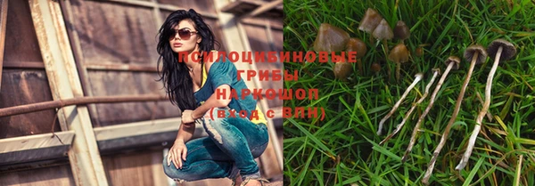 бошки Бородино
