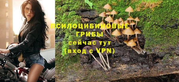 бошки Бородино
