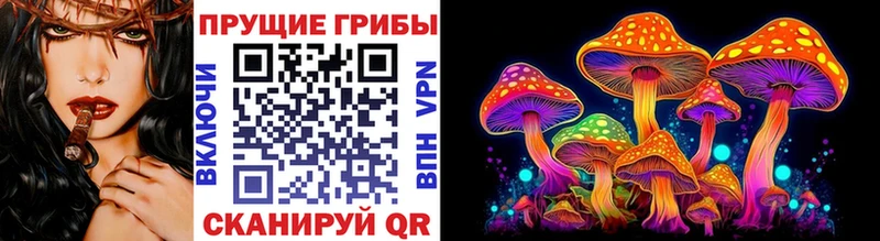 Галлюциногенные грибы Psilocybe Новозыбков
